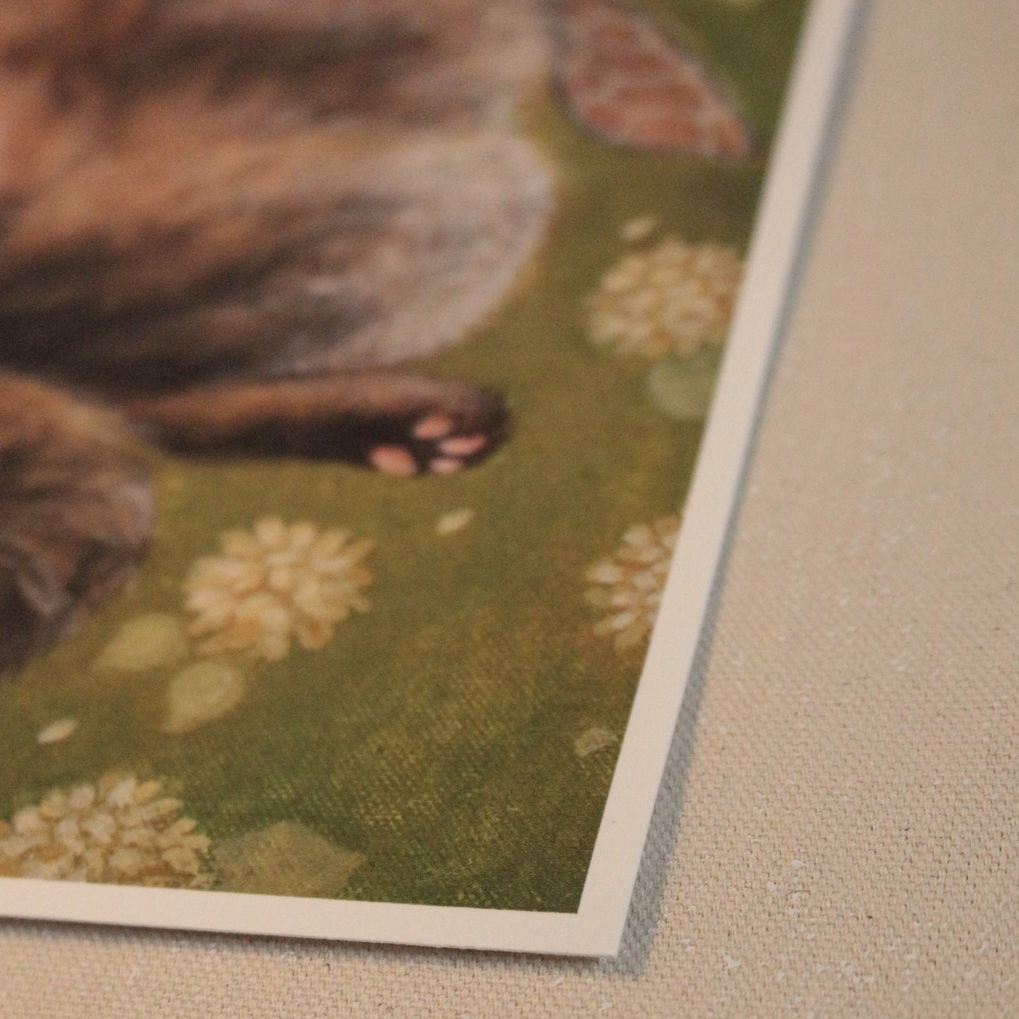 Chonky tabby Cat FRAMED Giclee print 8 x 10 in